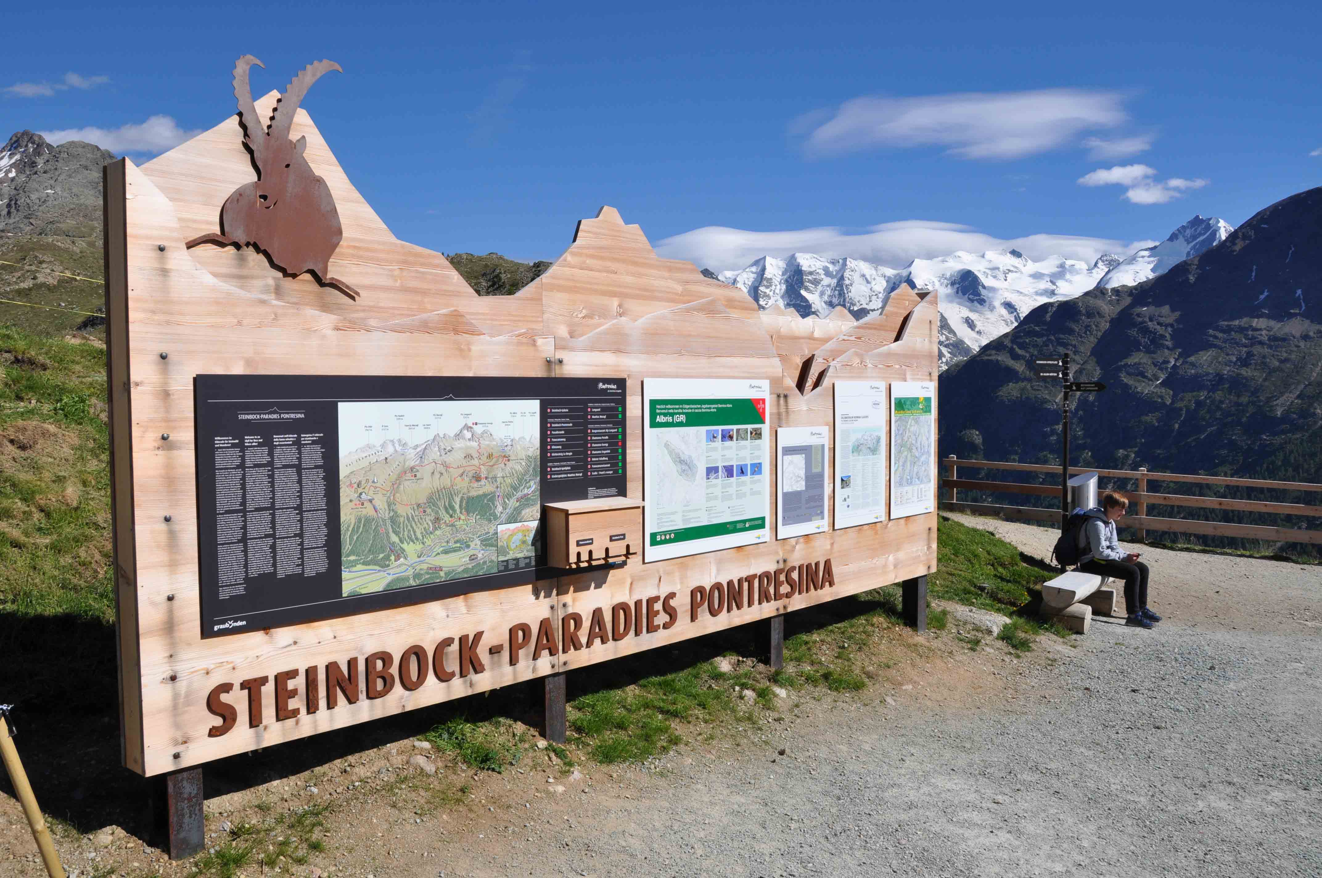 Alp Languard Steinbock Paradies